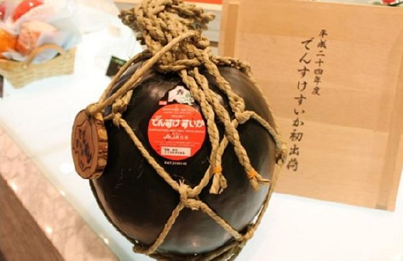 Densuke Watermelon on rope.