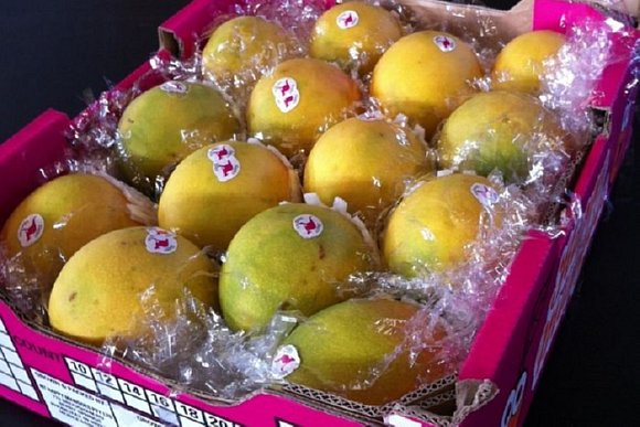Tray of Mangos 