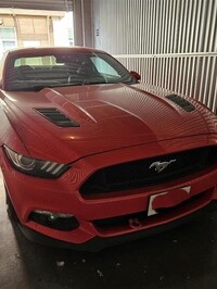 
Warning: Undefined array key 3 in /var/app/current/includes/bottomAuctionsClosingSoon.php on line 235
