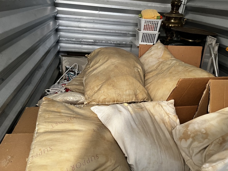  Viera Storage Company  auction IB-8443 100