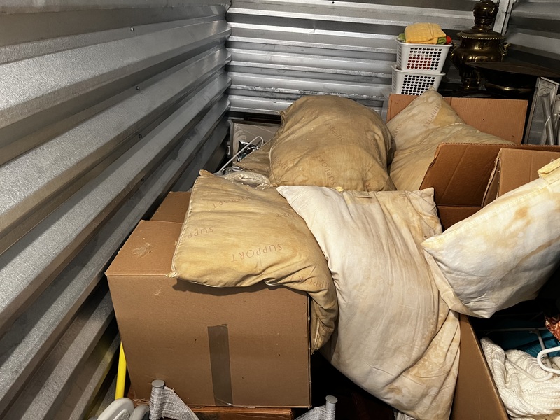  Viera Storage Company  auction IB-8443 120