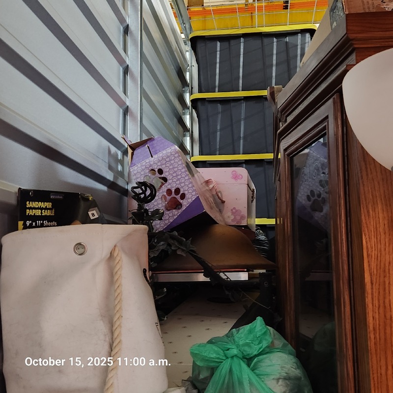 Moving & Storage of South Walkerville  auction IB-2780