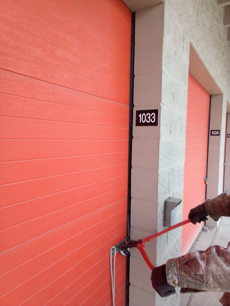 1-800-Self-Storage of Southfield (8 mile)  auction IB-1193