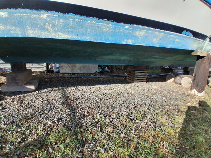 L069 - Sentinel - 1020 Herring Gull Way -  auction IB-9057