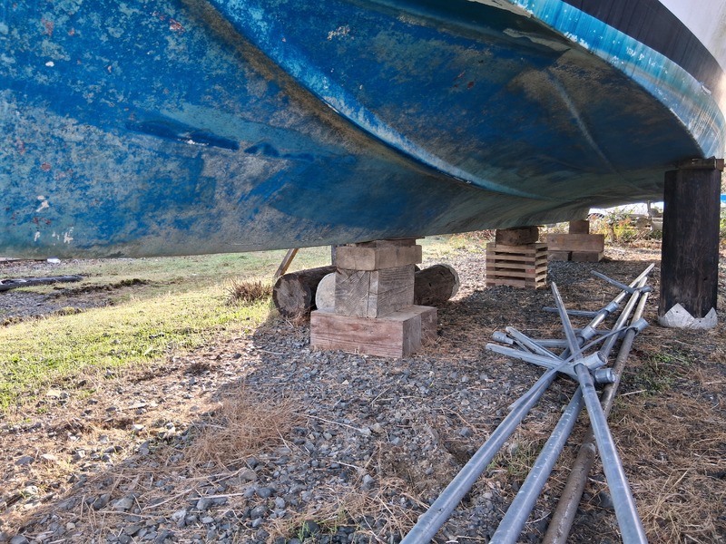 L069 - Sentinel - 1020 Herring Gull Way -  auction IB-9057 80