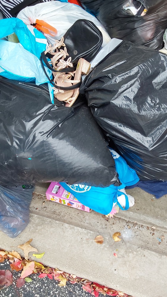 STORExpress - Brinton  auction IB-2737 80