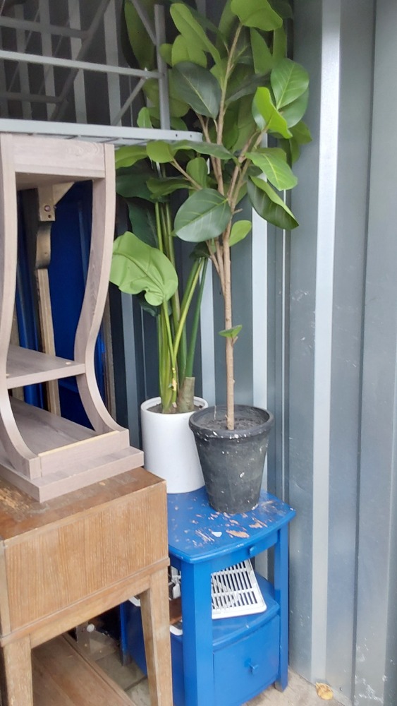 STORExpress - Brinton  auction IB-5679 10