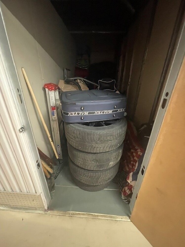 L151 - Access Storage - 835 York Mills, Don Mills -   auction IB-7011