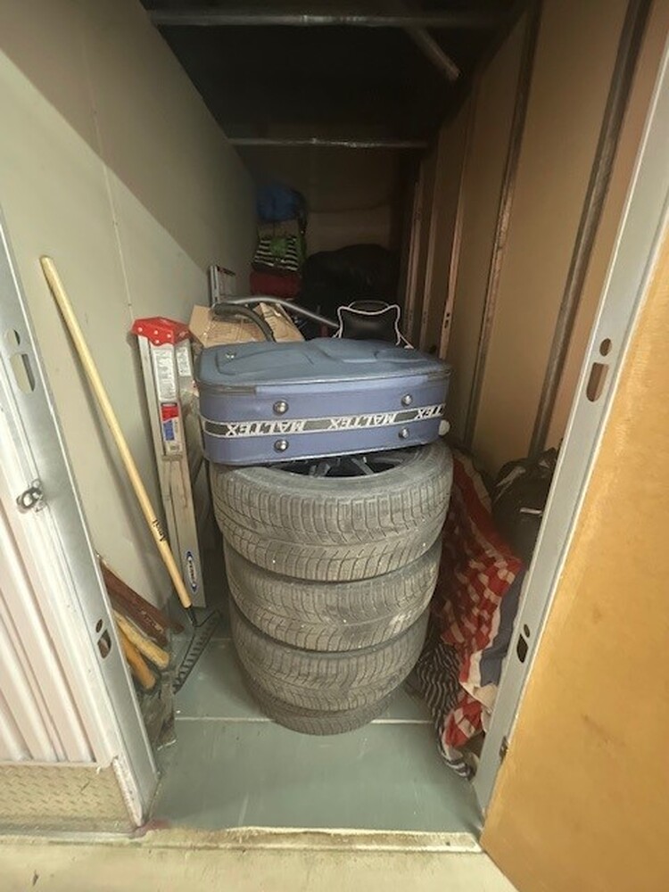 L151 - Access Storage - 835 York Mills, Don Mills -   auction IB-7011 50