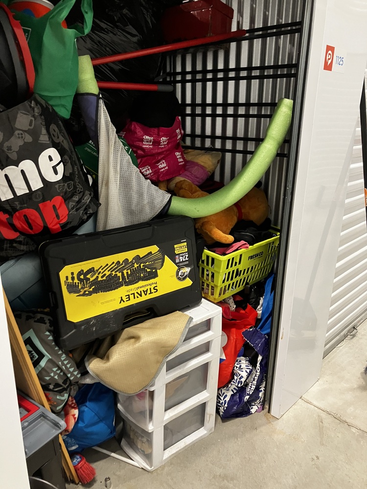 Pockit Self Storage - Burrows  auction IB-3075 10