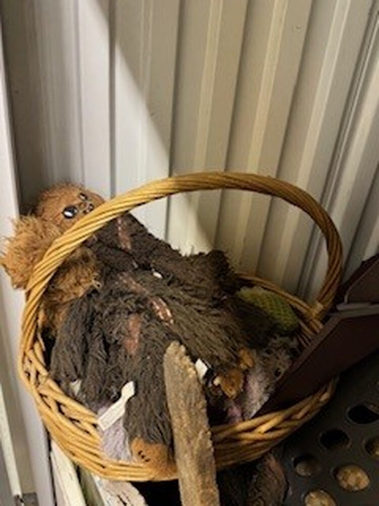 STORExpress - Etna   auction IB-7291