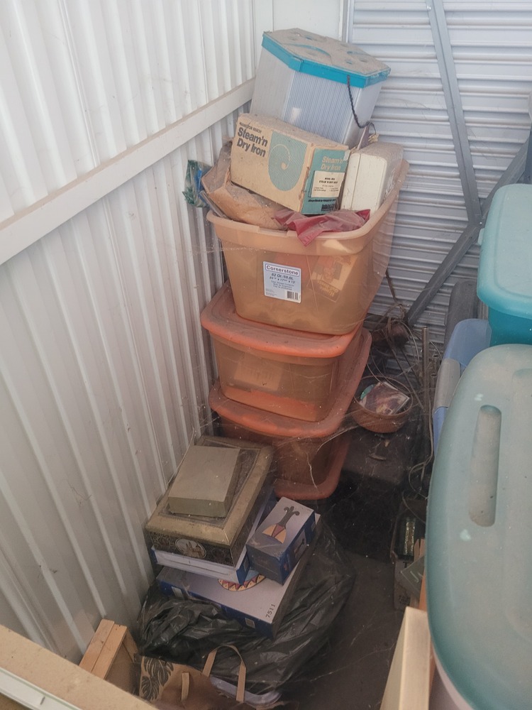 STORExpress - Etna   auction IB-6795 90