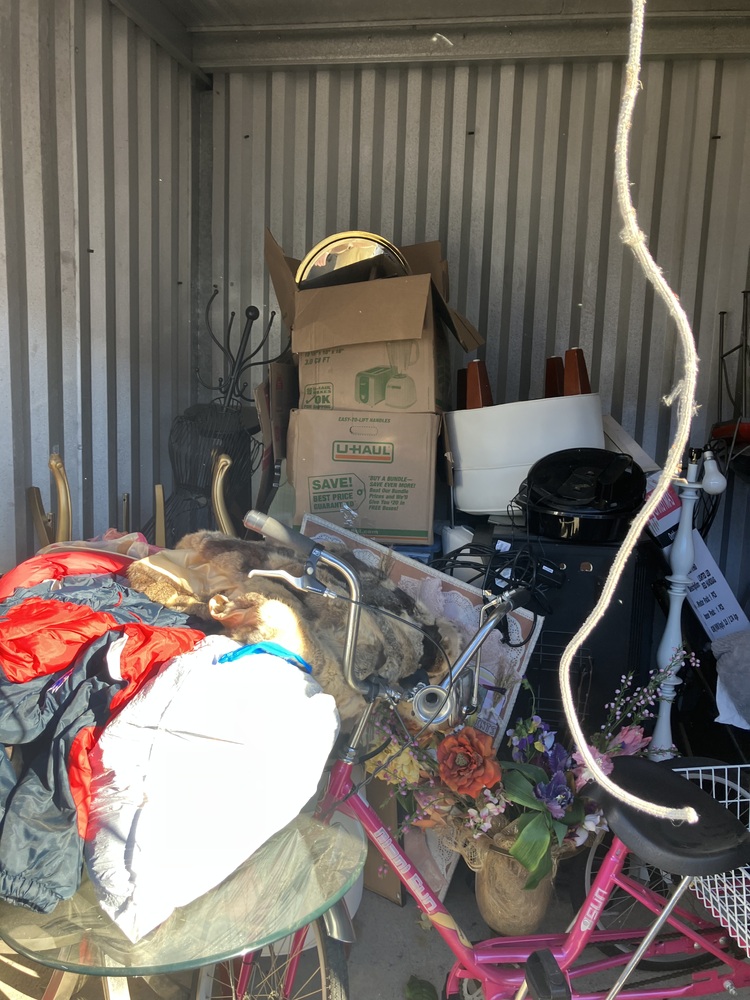 Advantage Self Storage - Depew NY  auction IB-2729 20