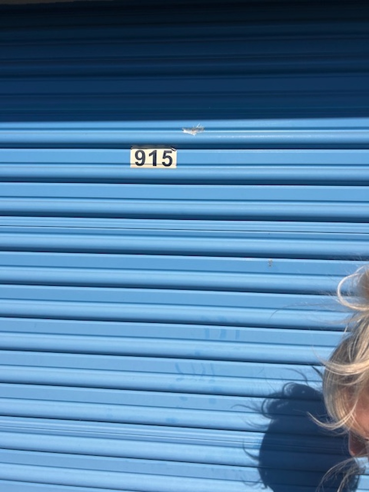 Advantage Self Storage - Thompson Creek Stevensville MD  auction IB-9504 90