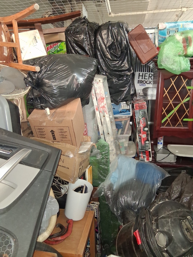 L024 - Depotium Mini-Entrepot - 3555 Boul Cremazie Est -   auction IB-1831 10