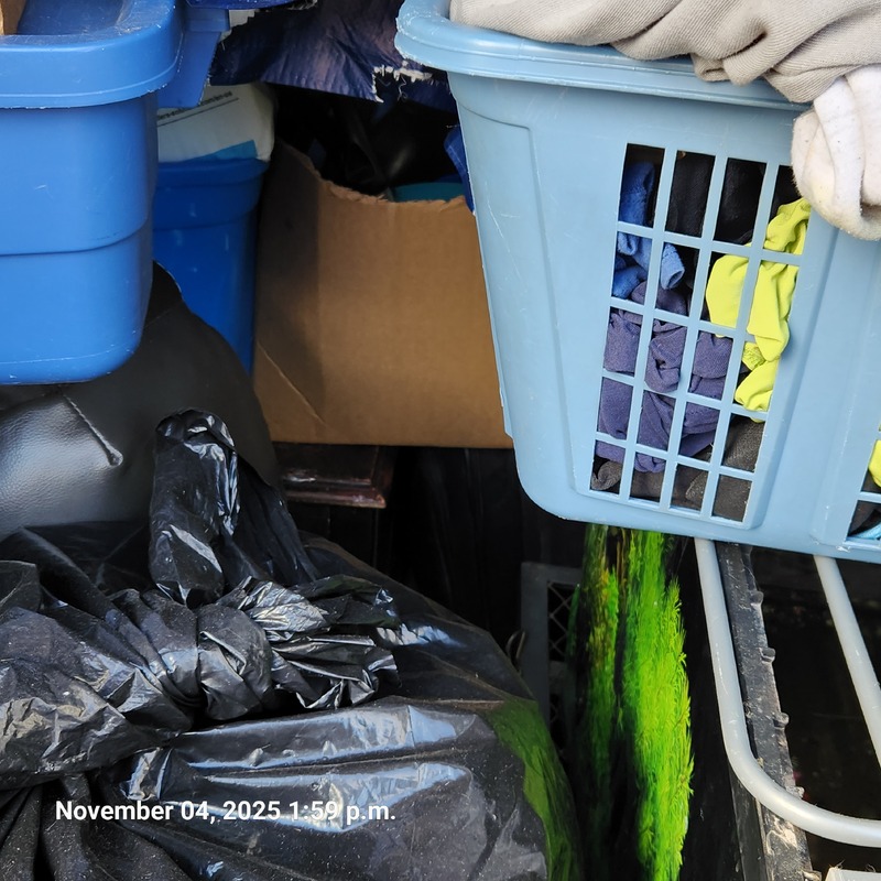 Moving & Storage of Windsor  auction IB-3420 20