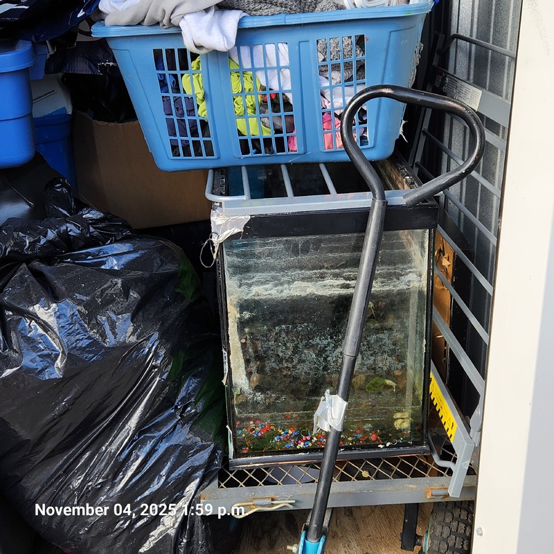 Moving & Storage of Windsor  auction IB-3420 50