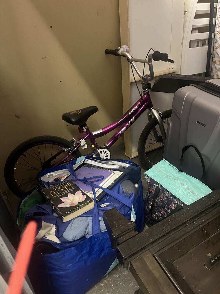 L008 - Access Storage - 71 Rosedale Ave -   auction IB-4522 50