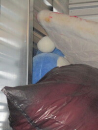 
Warning: Undefined array key 3 in /var/app/current/includes/bottomAuctionsClosingSoon.php on line 235
