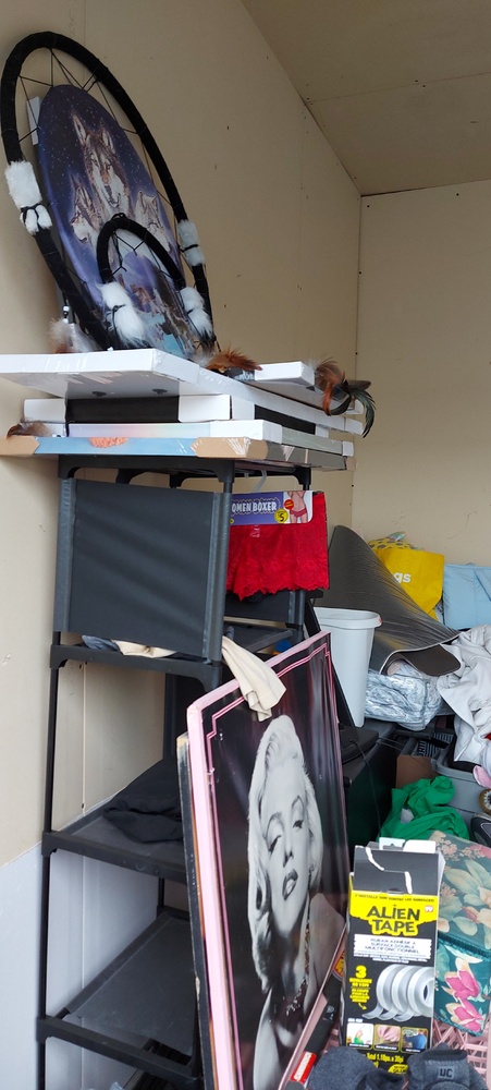 L066 - Trans Can Mini Stor and PUPS Portable -   auction IB-4128 20