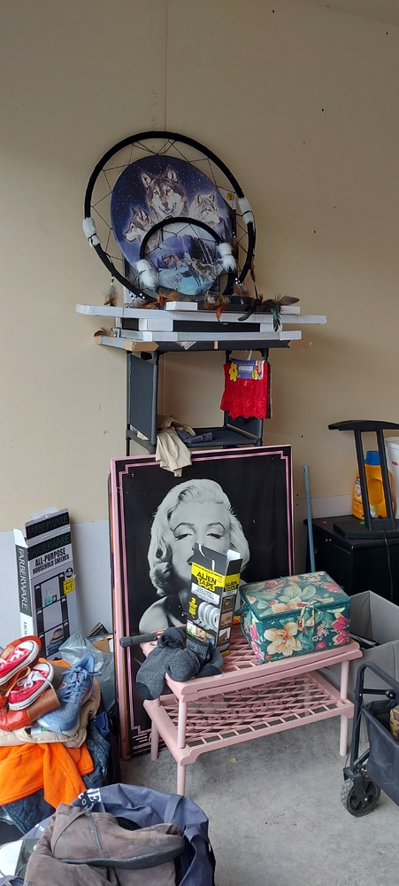 L066 - Trans Can Mini Stor and PUPS Portable -   auction IB-4128 30