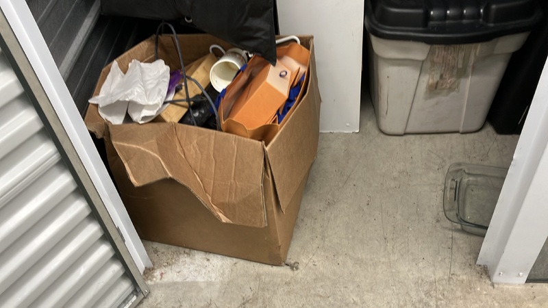 Advanced Self Storage  - North Vancouver  auction IB-2699