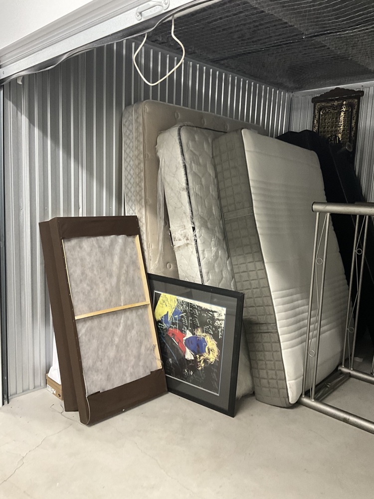 SmartStop Self Storage - Milner Av Scarborough  auction IB-9168 10