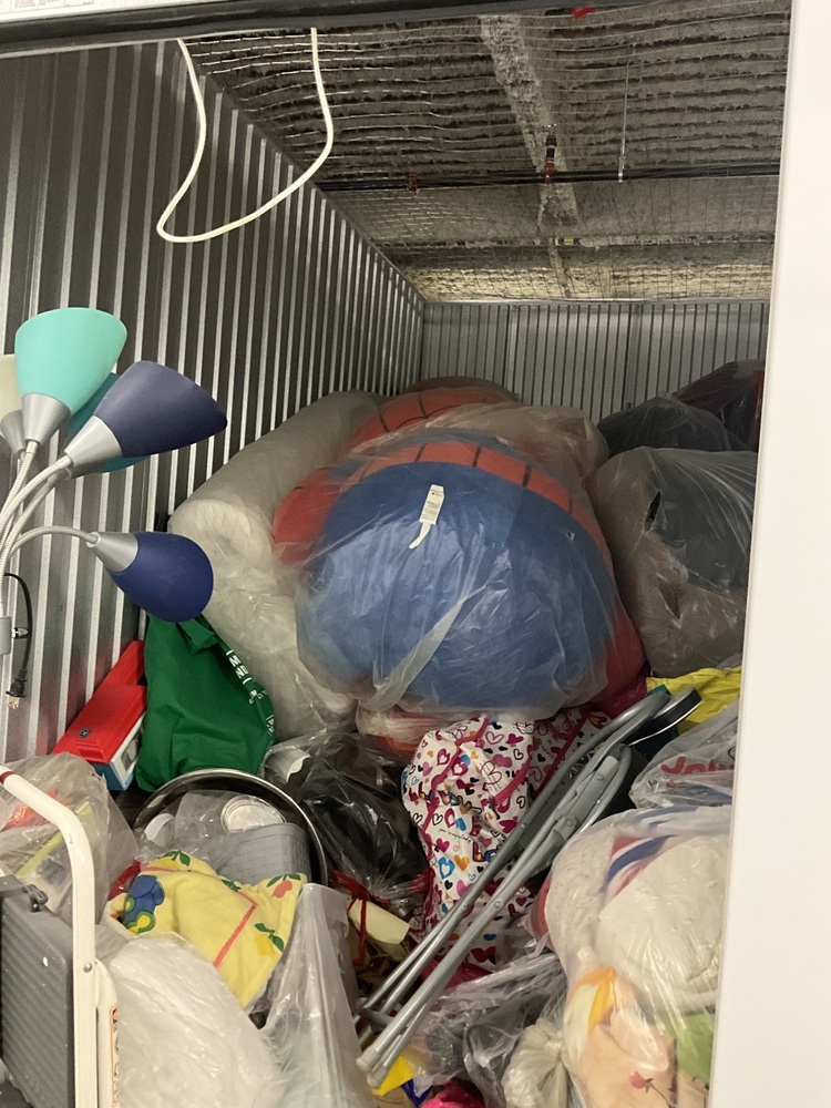 SmartStop Self Storage - Milner Av Scarborough  auction IB-5860 10