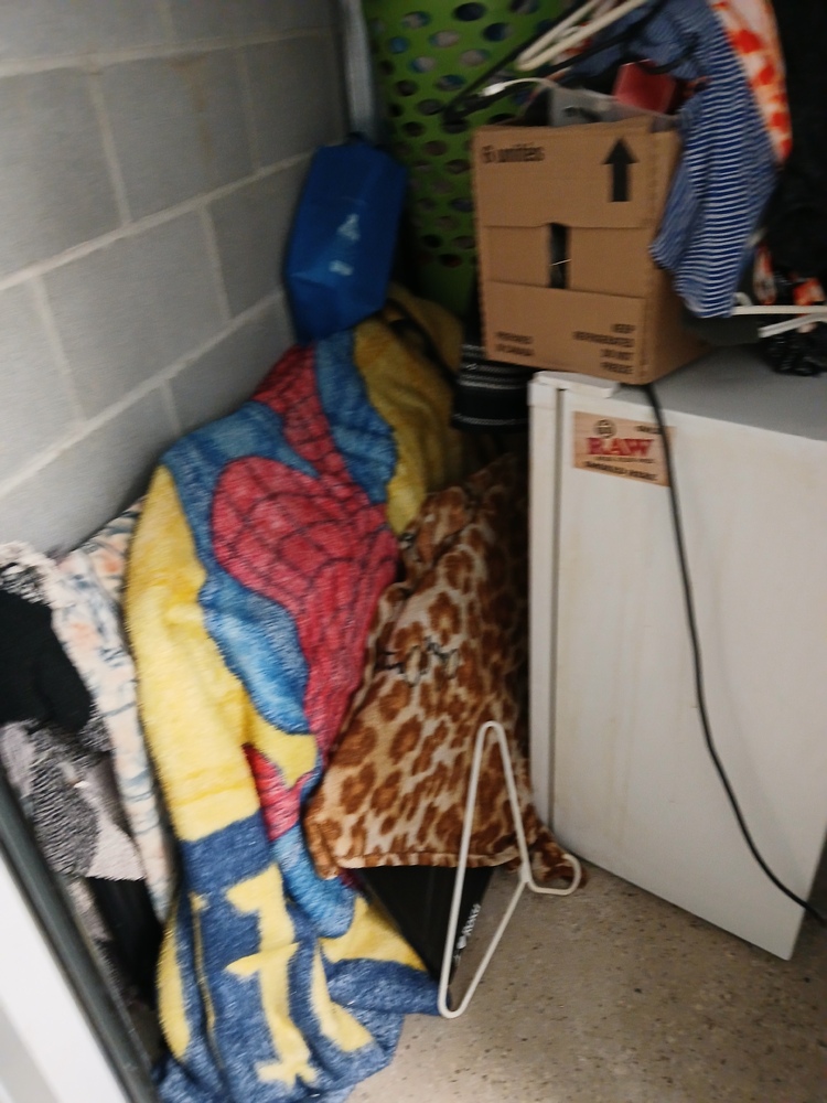 L293 Access Storage - Orangeville Central  auction IB-5890 10