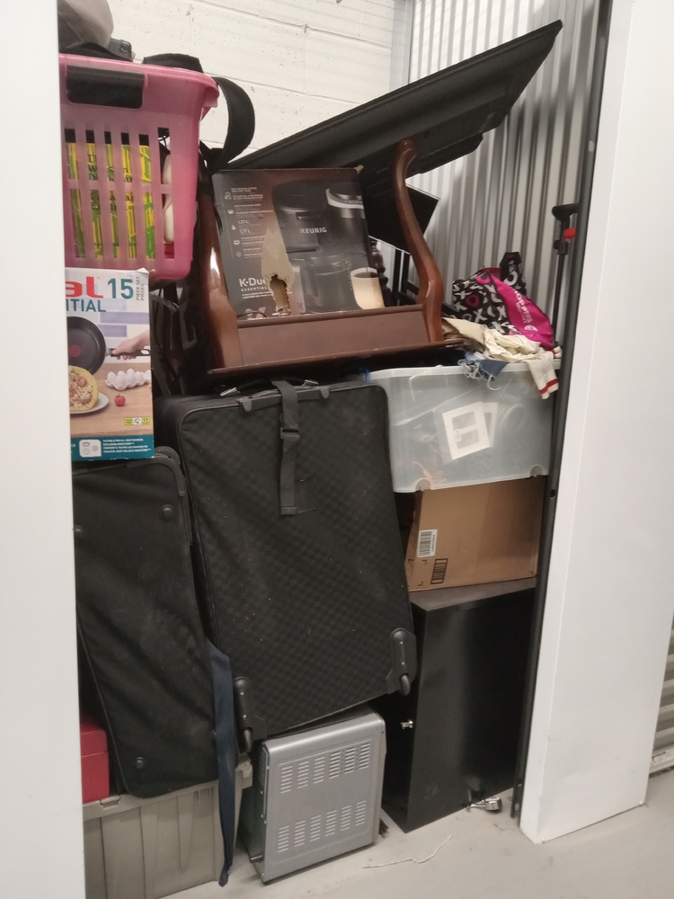 SmartStop Self Storage - Ingram North York  auction IB-8267