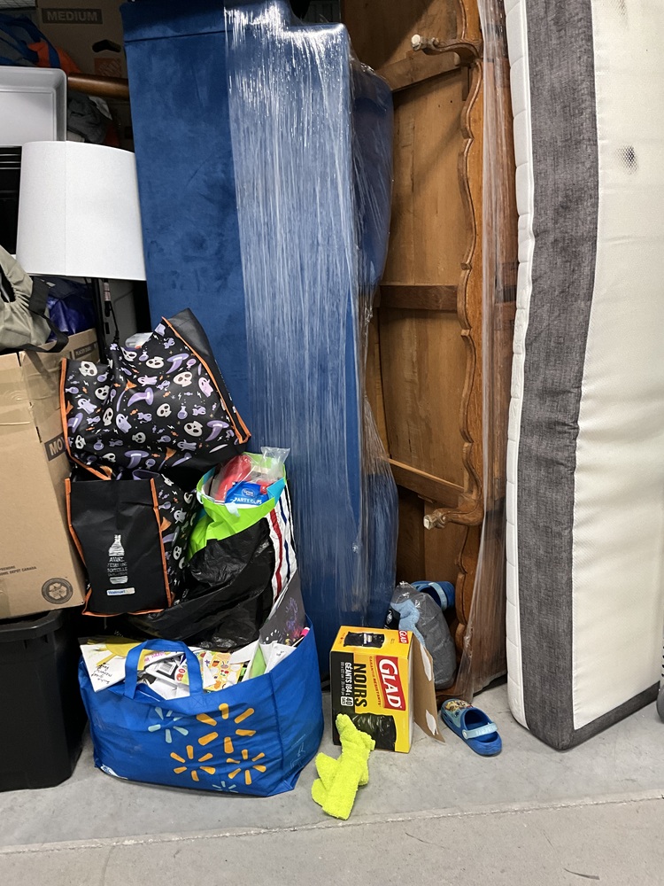 SmartStop Self Storage - Copper Creek Markham  auction IB-1593