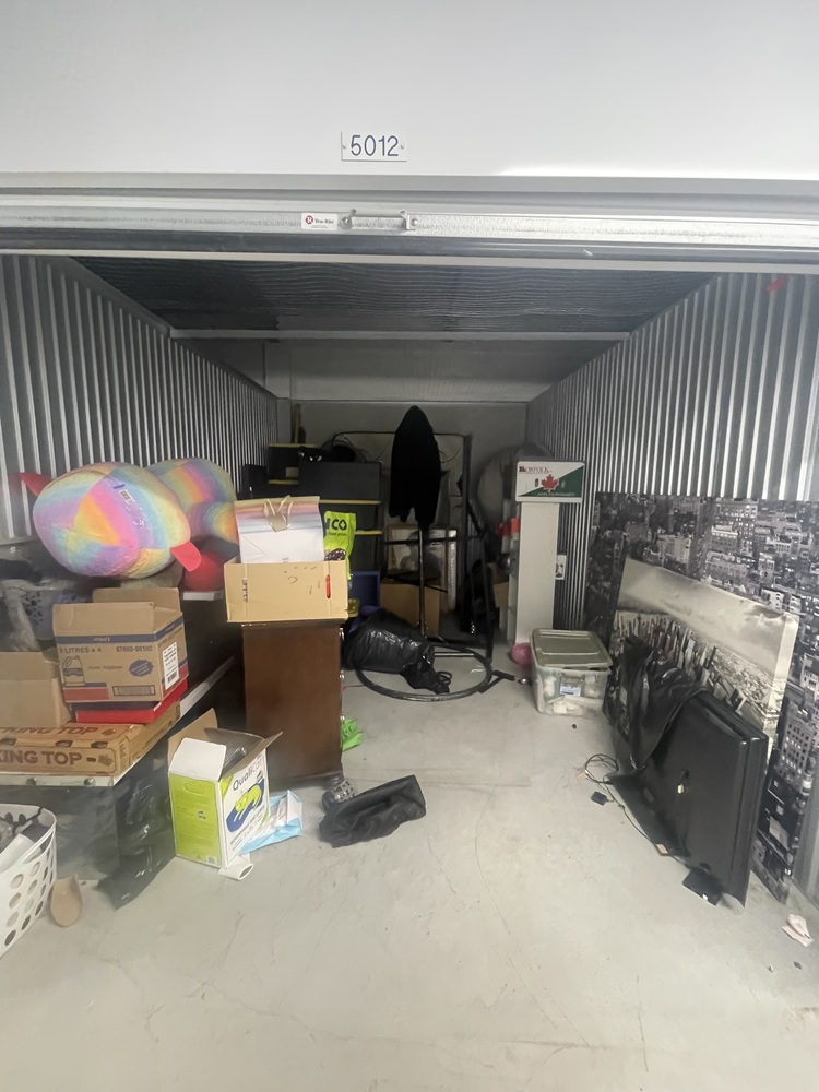 SmartStop Self Storage - Vodden Main St Brampton  auction IB-9702