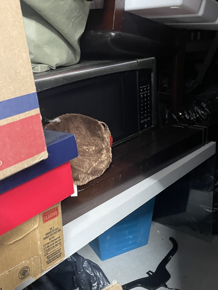 SmartStop Self Storage - Vodden Main St Brampton  auction IB-9702 30