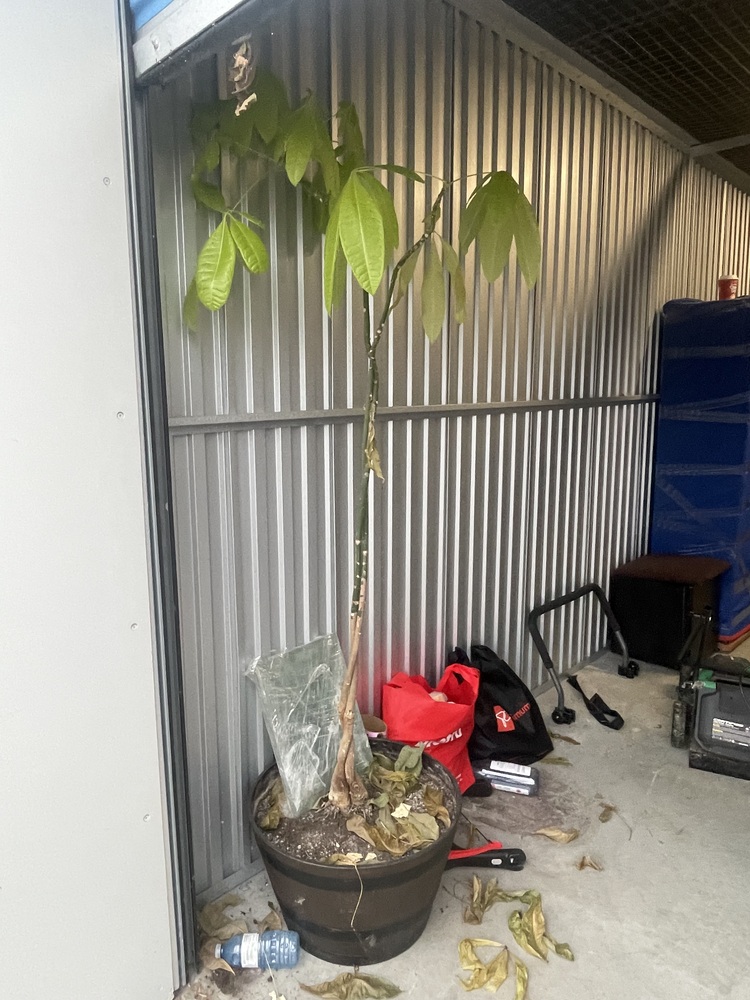 SmartStop Self Storage - Vodden Main St Brampton  auction IB-7788 30