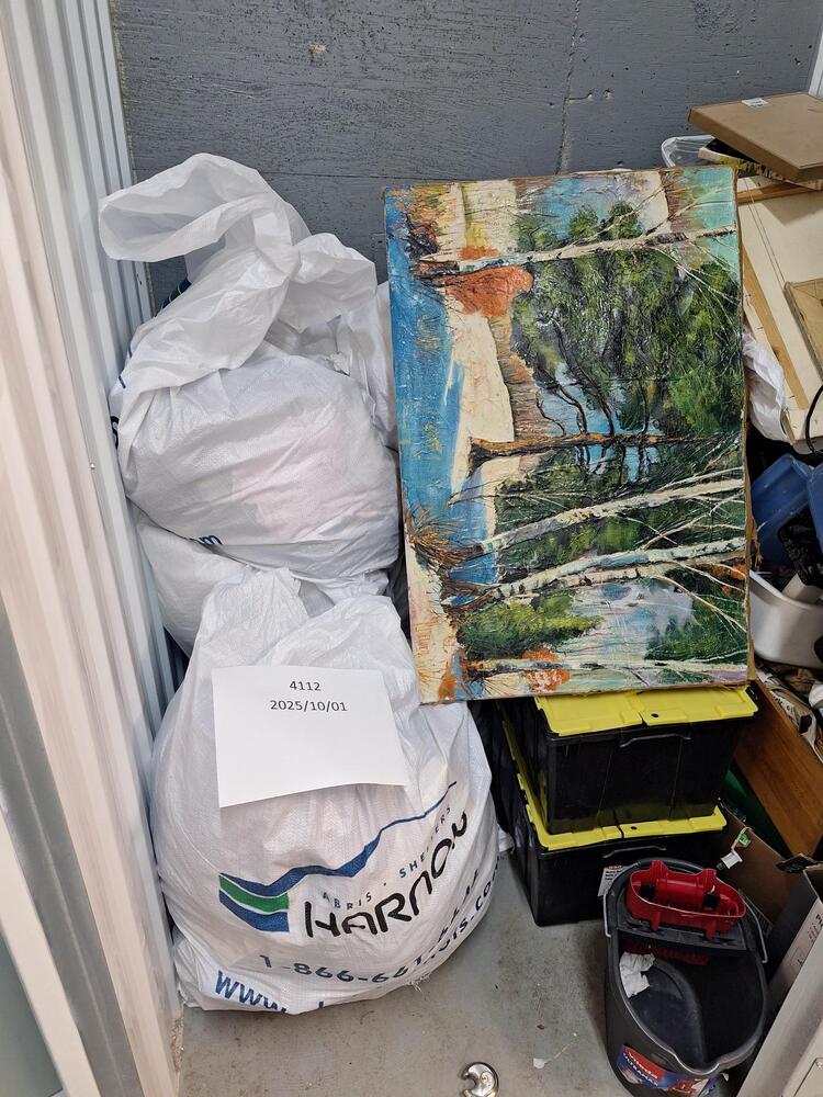 L029 - Depotium Mini-Entrepot - 3350 Blvd Sir-Wilfred-Laurier -   auction IB-8455 70