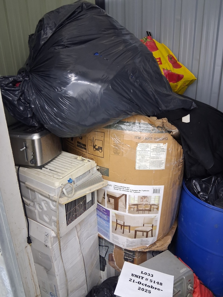 L033  - Depotium Mini-Entrepot - 8469 8iÃ¨me Avenue -   auction IB-1667