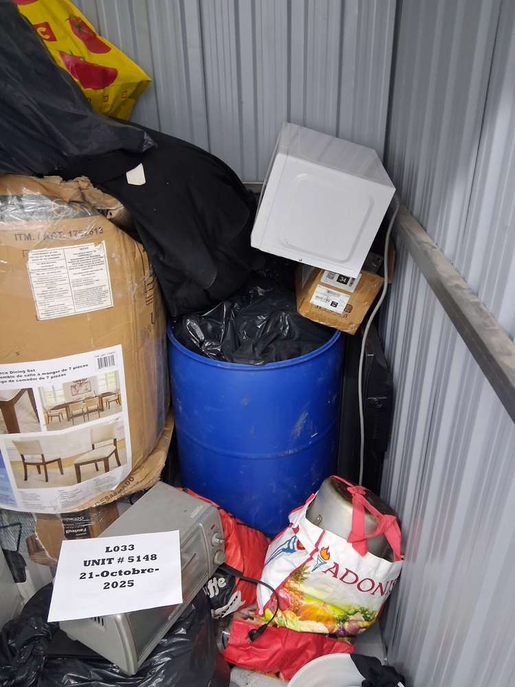 L033  - Depotium Mini-Entrepot - 8469 8iÃ¨me Avenue -   auction IB-1667 10