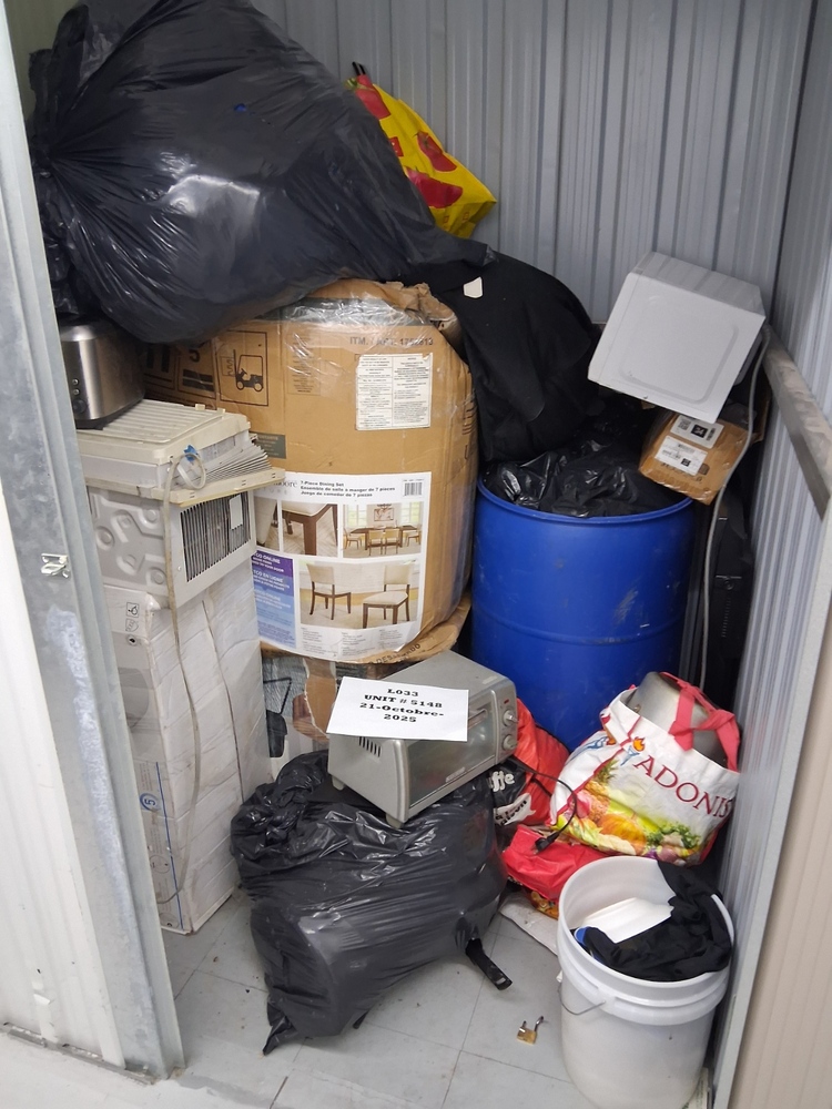 L033  - Depotium Mini-Entrepot - 8469 8iÃ¨me Avenue -   auction IB-1667 20