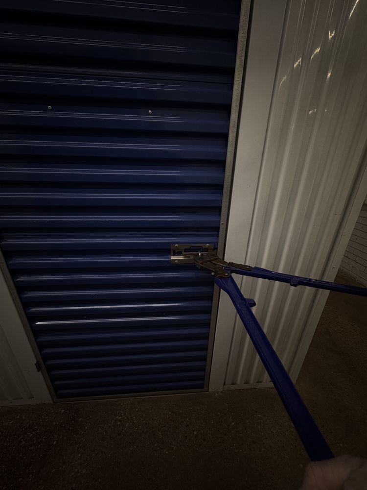 Abacus Self Storage Richmond Hill  auction IB-9183