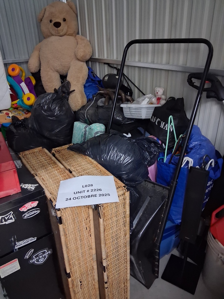 L028 - Depotium Mini-Entrepot - 200 Rue Des Enterprises -   auction IB-6022 20