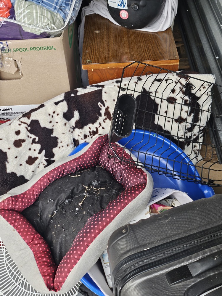 3035 - StorageMart Belleville  auction IB-9201 60