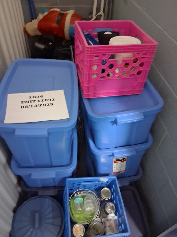 L034 - Depotium Mini-Entrepot - 255 de Castelnau Ouest  -   auction IB-6238