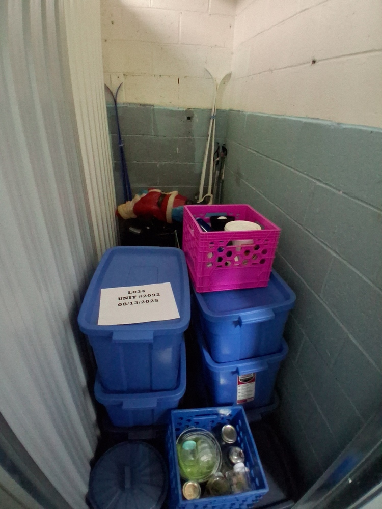 L034 - Depotium Mini-Entrepot - 255 de Castelnau Ouest  -   auction IB-6238 10