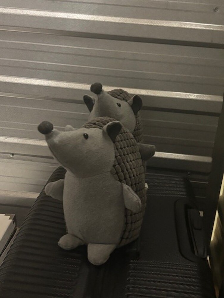 3107 -StorageMart  Downtown  auction IB-9082 70