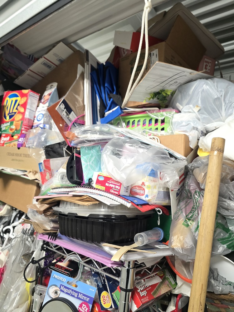 1-800-Self-Storage.com on Maple Rd, Troy  auction IB-4558 50