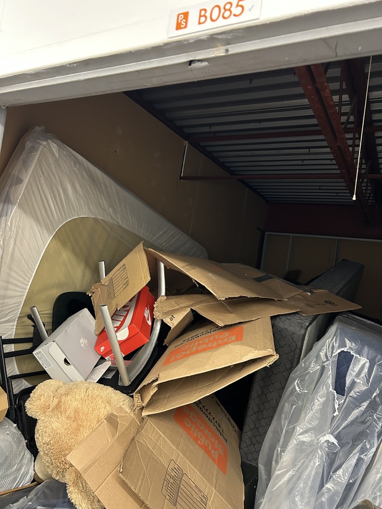 Public Storage P0008 -Dynamic Dr  auction IB-1753 20