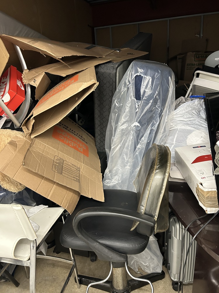 Public Storage P0008 -Dynamic Dr  auction IB-1753 80