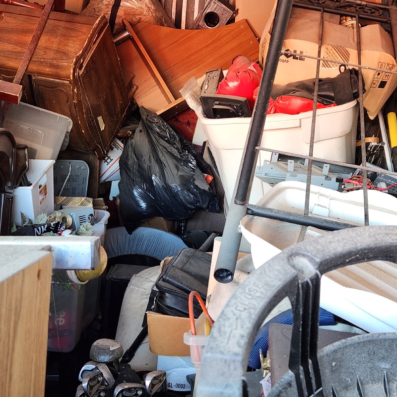 Moving & Storage at Towerline Place  auction IB-9942 100