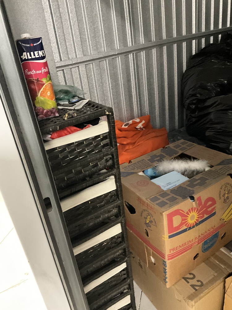 SmartStop Self Storage - Milner Av Scarborough  auction IB-8272 10