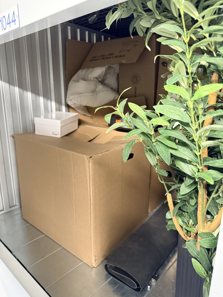 SmartStop Self Storage - Gilbert St  auction IB-4205 20